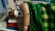 محیط‌بان ساوه‌ای به دست شکارچیان غیرمجاز مجروح شد