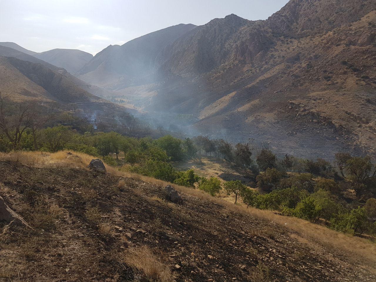 ۶ هکتار باغ در روستای پلنگ آباد ساوه طعمه حریق شد